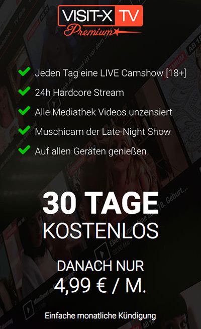 VISIT-X Television